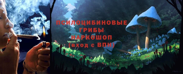 apvp Аркадак