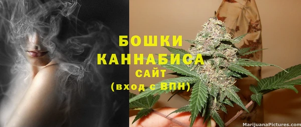 apvp Аркадак